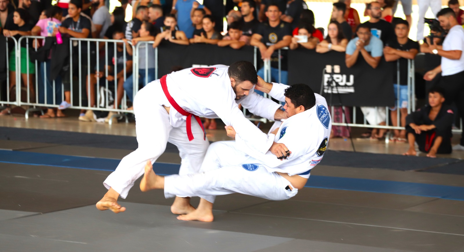 Jiu-Jitsu de Piên se destaca em campeonato mundial - Prefeitura Municipal  de Piên