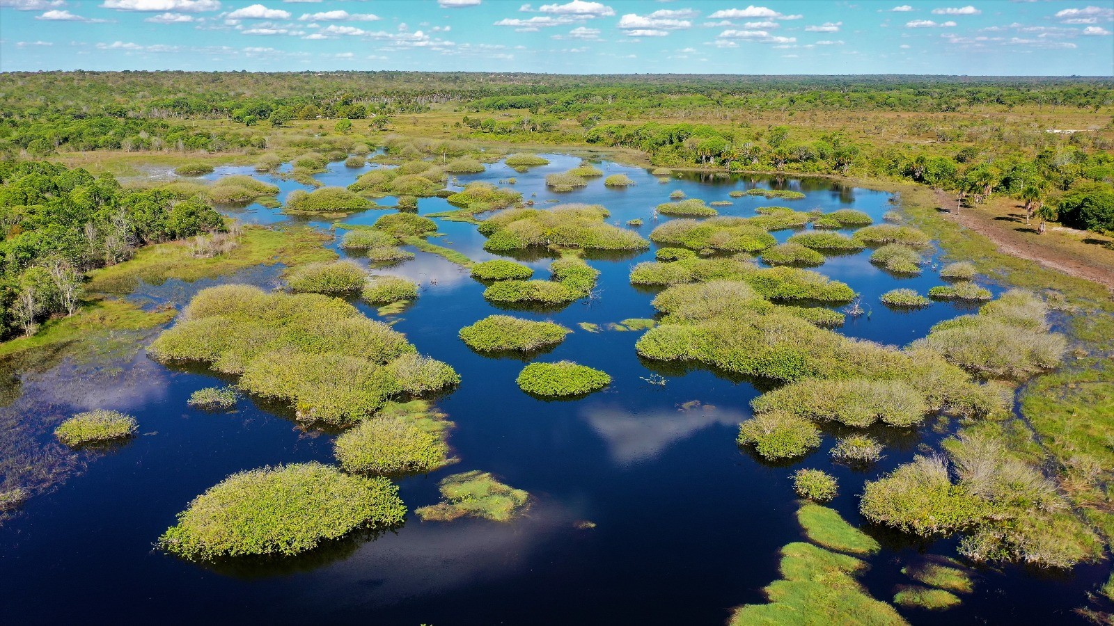 A proposta é discutir a importância da sustentabilidade e do cuidado com o meio ambiente, promovendo cultura e educação ambiental por meio de diálogos e troca de experiências