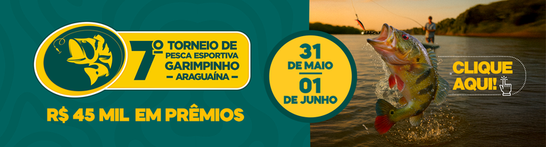 Prancheta 1 (1) (1).png