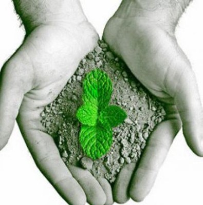 Araguaína recebe Conferência Estadual do Meio Ambiente