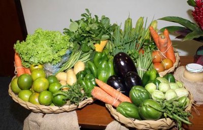 Compra Direta da Prefeitura estí com inscrições abertas