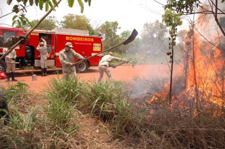 Prefeitura mobiliza parceiros e estudantes no Dia D de combate  s queimadas