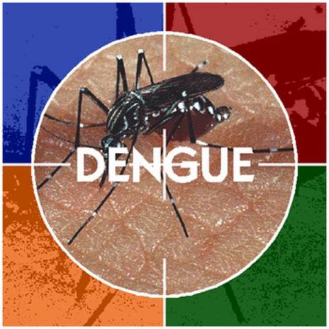 Cai em 70% índice de Dengue em Araguaína