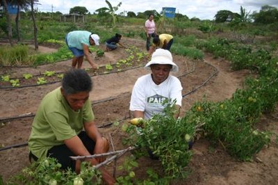 Prefeitura e SENAR promovem curso para mulheres da zona rural