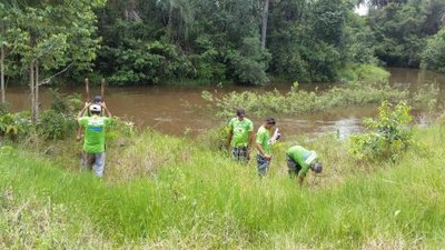 Ação ambiental promove limpeza e plantio de mudas em córregos de Araguaina