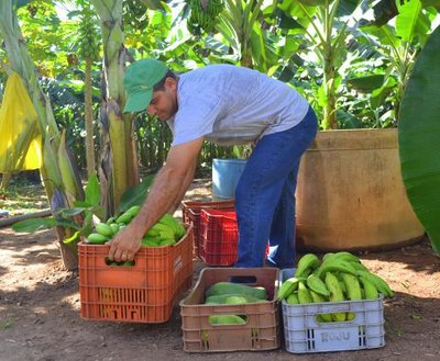 Compra Direta atinge maior número de produtores cadastrados