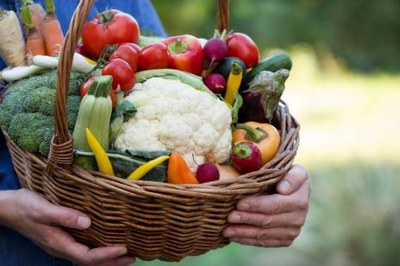 Encontro para fomentar produção de alimentos orgânicos será nesta quarta, 23