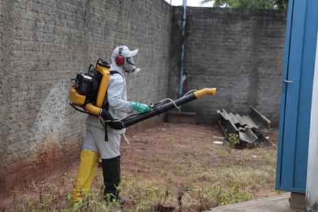 Ações preventivas de vigilância e controle do calazar são intensificadas em Araguaína