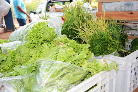 Dimas destaca avanços na produção de alimentos do Município