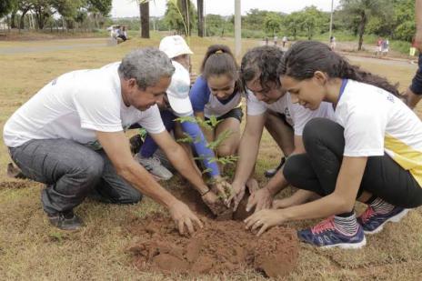 Iniciada Campanha de Arborização ‘Plante uma Árvore no Parque Cimba’