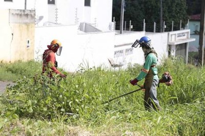 Proprietários de lotes baldios com mato e lixo são notificados para realizar limpeza