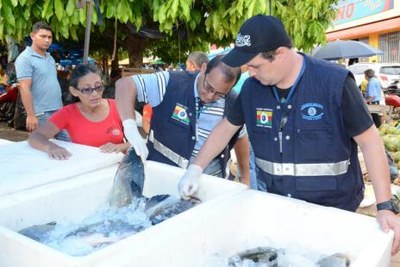 Vigilância Sanitária fiscaliza peixes à venda para Semana Santa em Araguaína