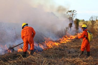 Meio Ambiente realiza queimadas controladas em assentamentos para evitar incêndios