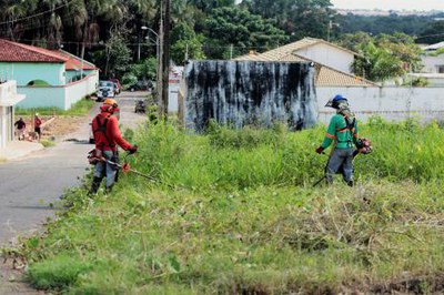 Para evitar proliferação do Aedes, Prefeitura realizará limpeza de lotes baldios