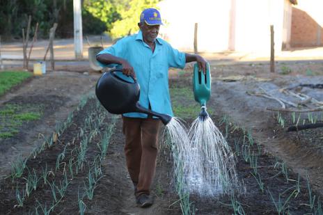 Prefeitura é parceira de encontro para discutir agricultura urbana em Araguaína