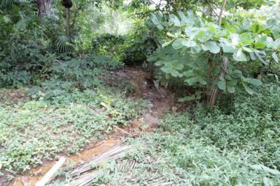 Região de Araguaína terá mais de 50 nascentes recuperadas nos próximos anos