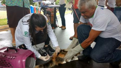 Vacinação contra raiva em cães e gatos continua em Araguaína