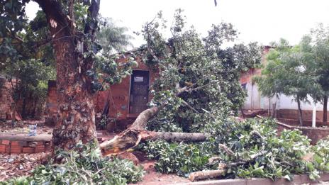 Defesa Civil alerta para prevenção de acidentes devido a chuvas atípicas