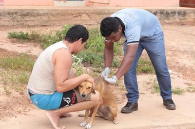 Dia D da vacinação antirrábica será neste sábado em Araguaína