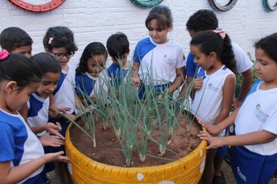 Horta sustentável reaproveita pneus velhos e água do ar-condicionado