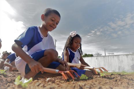 Hortas sustentáveis ajudam na educação alimentar e pedagógica dos alunos