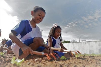 Hortas sustentáveis ajudam na educação alimentar e pedagógica dos alunos