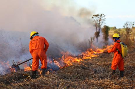 Prefeitura e Corpo de Bombeiros realizam treinamento com brigadistas