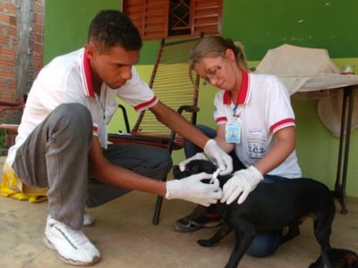 Prefeitura realiza ação de combate ao calazar