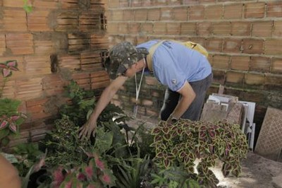 Centro de Controle de Zoonoses alerta sobre a dengue no período das chuvas