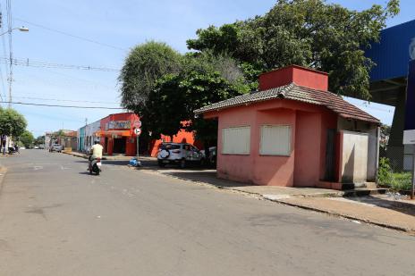 Força-tarefa pretende regularizar mais de 50 pit dogs em Araguaína