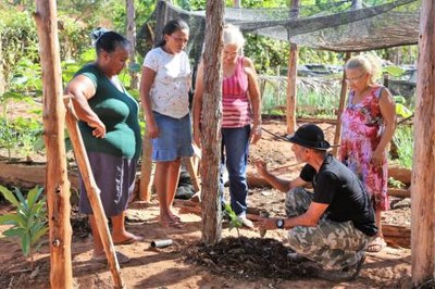 Horta comunitária recebe primeiro jardim clonal de pimenta-do-reino em Araguaína