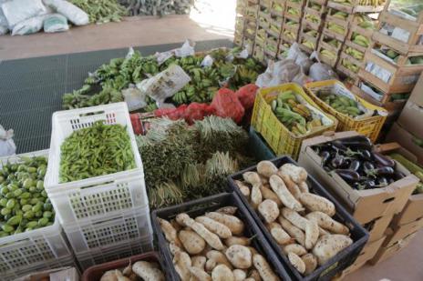 Prefeitura cadastra pequenos produtores para venda de alimentos ao Município