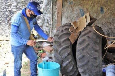 “A dengue não tirou férias”, alerta coordenadora do CCZ de Araguaína