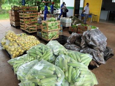 Famílias de Araguaína recebem cestas verdes com frutas e verduras