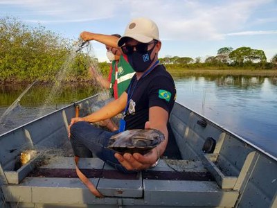Fiscalização ambiental identifica redes de pesca ilegais no Rio Lontra