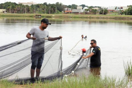 Prefeitura monitora alevinos soltos no Lago Azul e regulamenta pesca esportiva