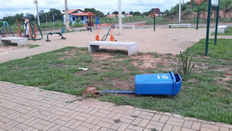 Vandalismo destrói lixeiras e compromete limpeza de locais públicos