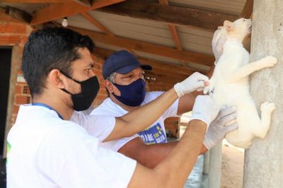CCZ de Araguaína segue vacinação antirrábica nos bairros