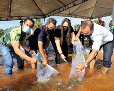 Mais 7.500 alevinos são soltos no Lago Azul durante Semana do Meio Ambiente