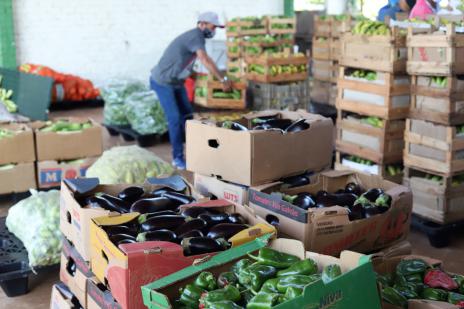 Pequenos produtores rurais têm prejuízo de mais de R$ 800 mil sem aulas presenciais