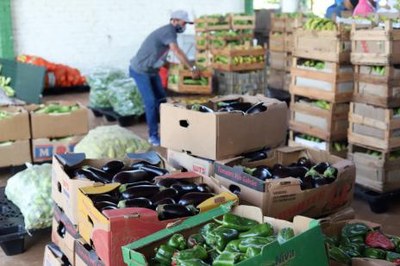 Pequenos produtores rurais têm prejuízo de mais de R$ 800 mil sem aulas presenciais