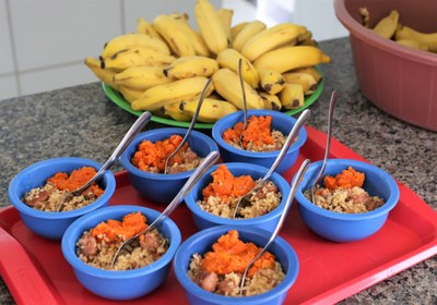 Agricultores podem fornecer alimentos para as creches e escolas de Araguaína