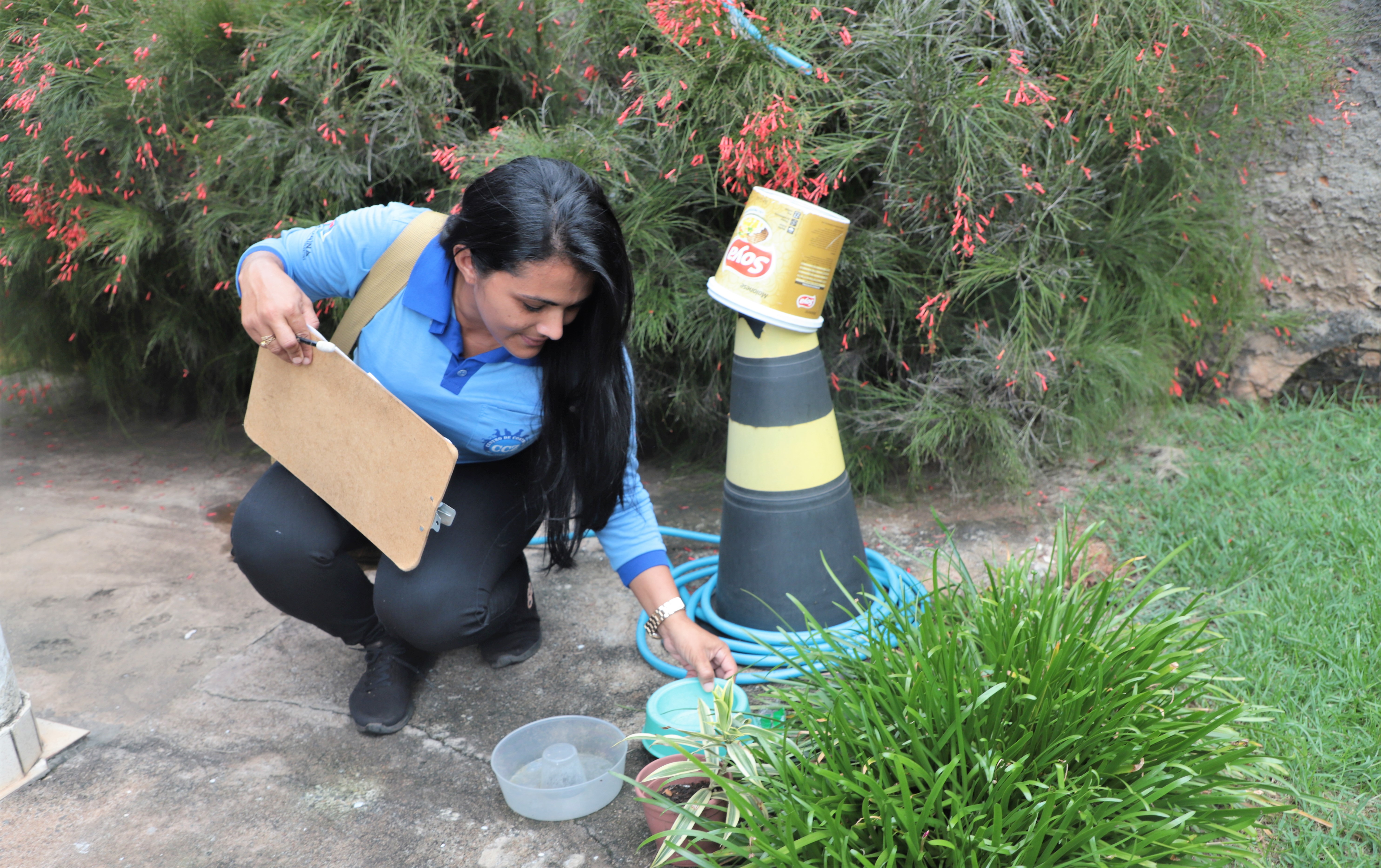 Apesar de se reproduzir em regiões de mata, o mosquito Anopheles, transmissor da malária, também pode se proliferar em recipientes com água
