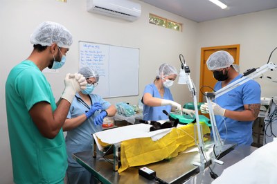 Com pouco mais de três anos de funcionamento, Centro de Castração de Araguaína já realizou cerca de 3.800 cirurgias