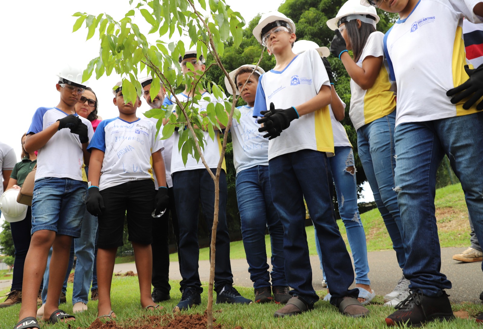 Os alunos se dividiram em grupos e foram orientados pelos técnicos ambientais sobre como fazer o plantio correto. A proposta é que cada um deles adote uma árvore e acompanhe o crescimento