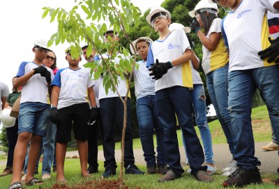 Educação Ambiental de Araguaína encerra 2023 com centenas de novas árvores plantadas e ações focadas na juventude