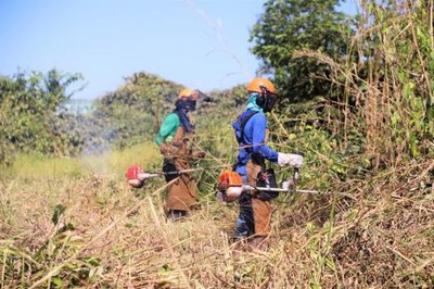 Prefeitura notifica proprietários de lotes baldios para limpeza