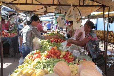 Wagner Rodrigues extingue quase 50 taxas e beneficia mais de 100 atividades econômicas