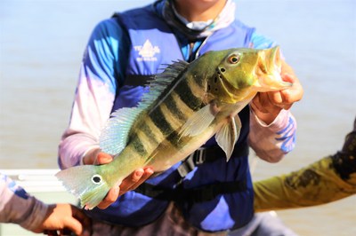 6º Torneio de Pesca de Araguaína será nos dias 15 e 16 de junho, no Garimpinho