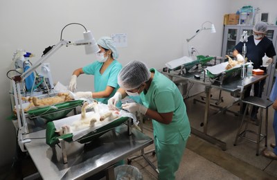 Com mais de 5 mil cirurgias realizadas, Centro de Castração de Araguaína celebra quatro anos de funcionamento
